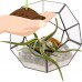 Mindful Design Geometric Dodecahedron Desktop Garden Planter Glass Terrarium   